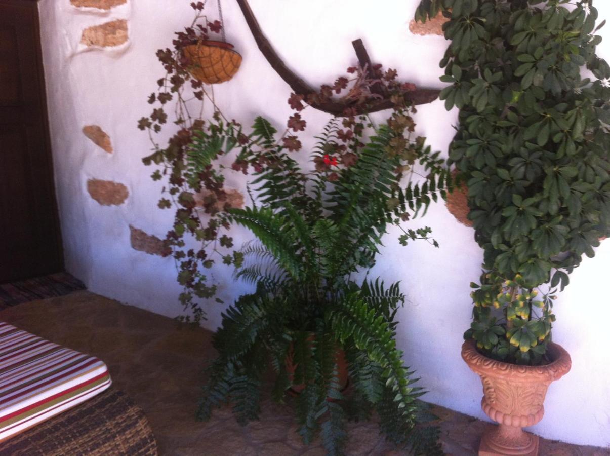 Casa Abuelo Rafael Guest House Llanos de la Concepcion Room photo